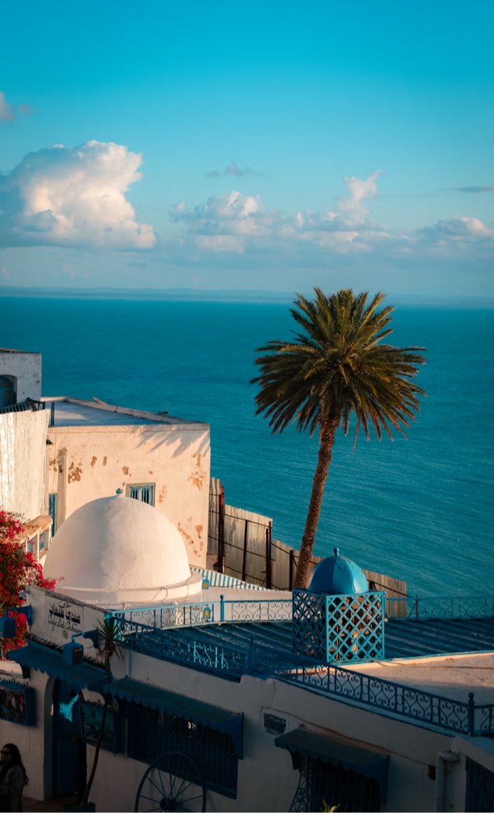 Tunis